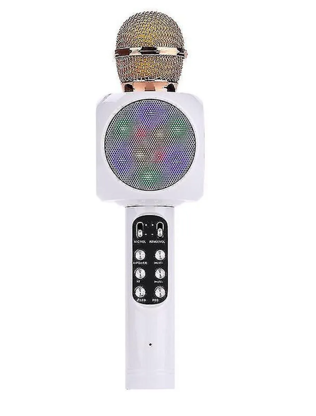 Karaoke Mic