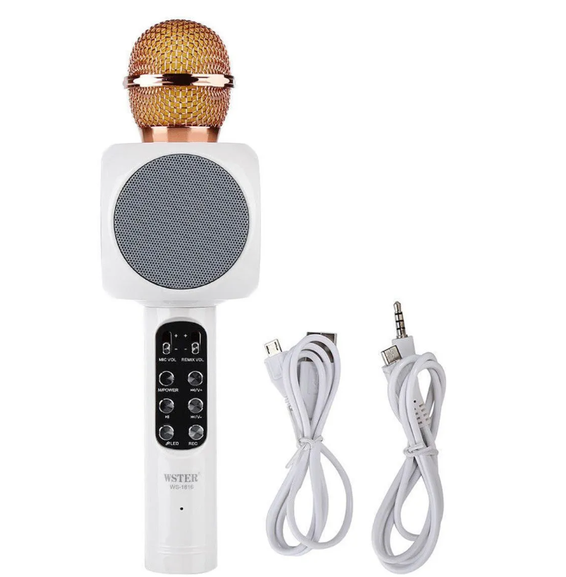 Karaoke Mic