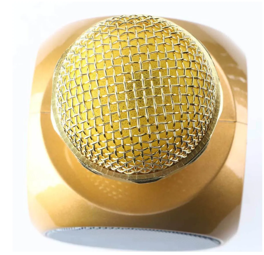 Karaoke Mic