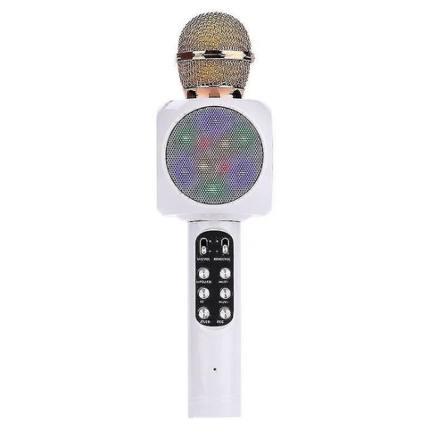 Karaoke Mic