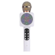 Karaoke Mic